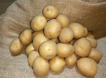 Картофель Ривьера 1 кг
