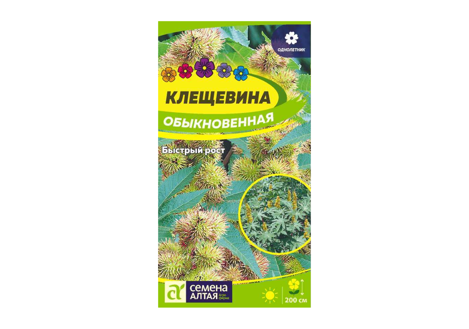 Клещевина Обыкновенная, семена - купить по выгодной цене 86 ₽ руб.